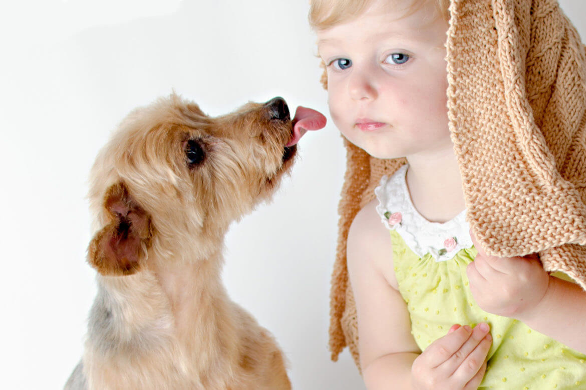 Животные в доме – преимущества и распространенные варианты