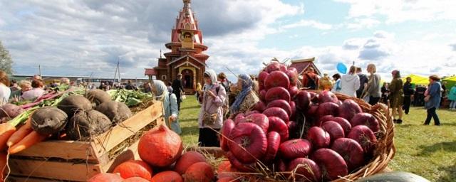 Власти Алтая выделят 500 млн рублей на развитие фермерства