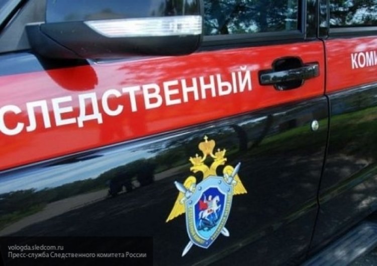 СК РФ заявил о причастности более десятка россиян к беспорядкам на незаконном митинге