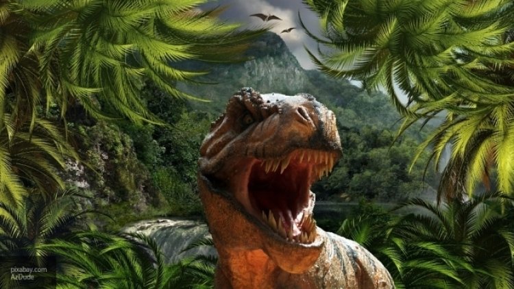 Во Франции откопали кость самого крупного динозавра в мире