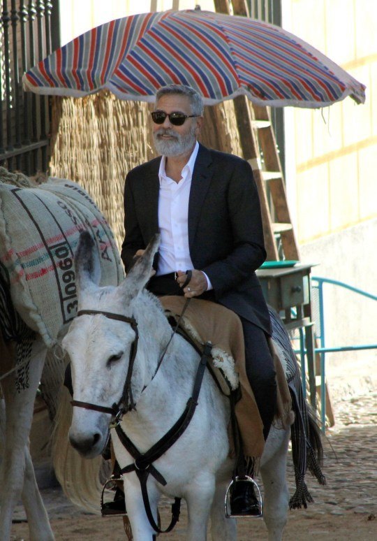 Комичный вид бородатого Джорджа Клуни на осле рассмешил испанцев