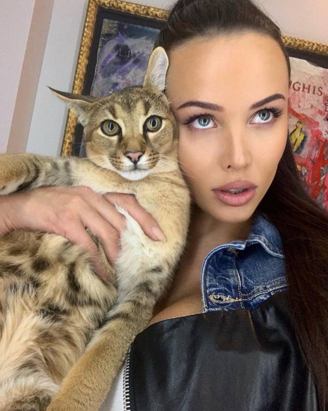 Беременная Анастасия Решетова восхитила поклонников дерзким «кошачьим» взглядом
