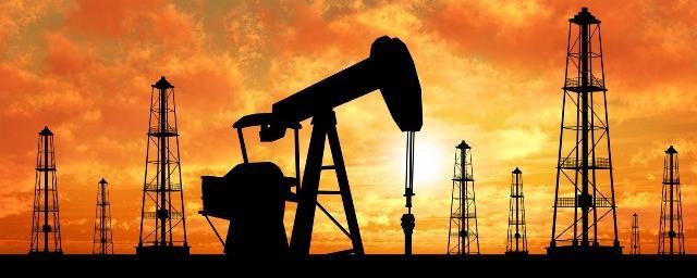 Минприроды оценило стоимость российской нефти в $1 трлн