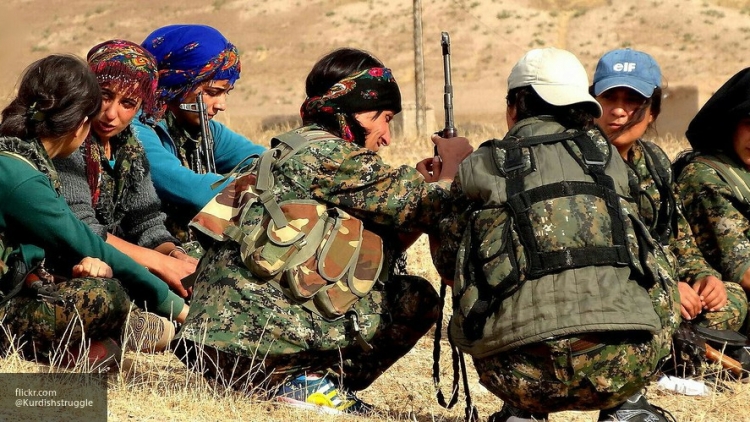 Госдеп заявил, что США не нашли способов поддержки курдов-террористов в Сирии