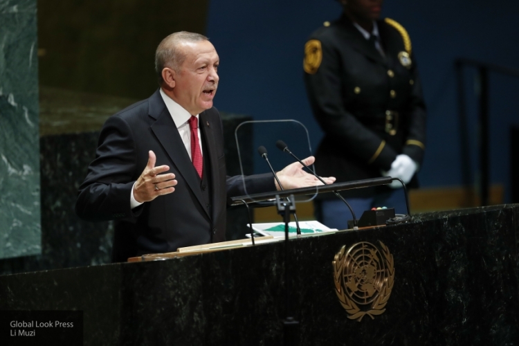 Эрдоган назвал дилетантом главу МИД Германии, критиковавшего операцию в Сирии