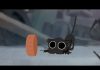 Студия Pixar показала мультик о дружбе бездомного котёнка с питбулем. Это так трогательно, что можно и всплакнуть!