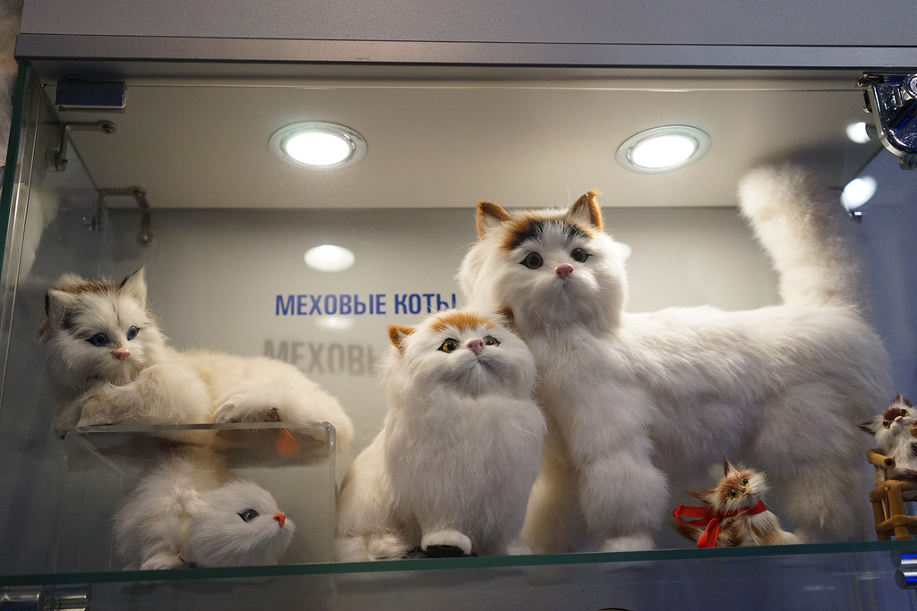Музей кошки в Москве