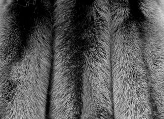 Чернобурка: об истории и особенностях лисьего меха Чернобурка: об истории и особенностях лисьего меха