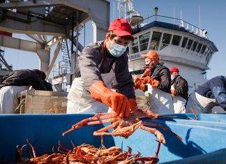 Вакансии на краболовах Норвегии отзывы rbesolov