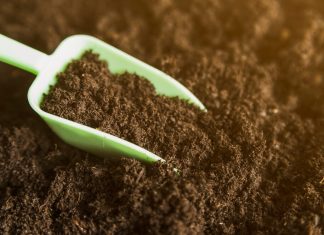 Грунт с доставкой в Москве: когда необходимо и где заказать