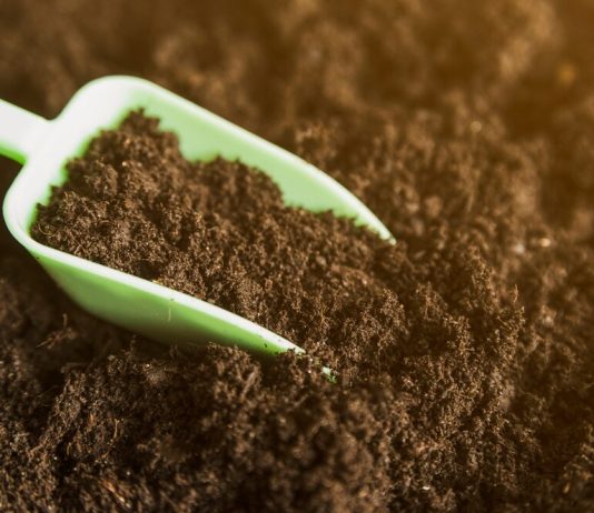 Грунт с доставкой в Москве: когда необходимо и где заказать