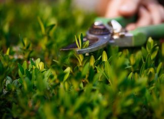 Ландшафтный дизайн под ключ: суть и необходимость