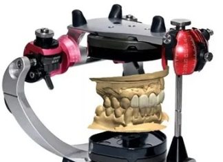 Разгадывая тайну жевательной cистемы: введение в гнатологию