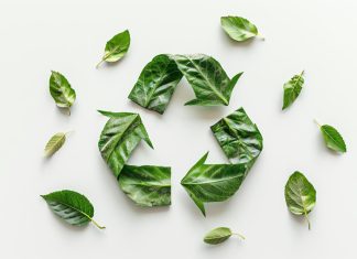 Как расширить ассортимент магазина за счёт растительных наполнителей