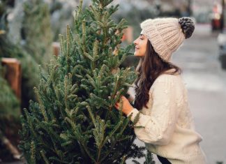 Как правильно выбрать и купить живую елку к празднику