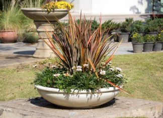 Бетонные вазоны в общественных пространствах: красота, порядок и удобство