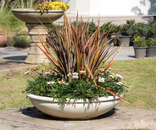 Бетонные вазоны в общественных пространствах: красота, порядок и удобство