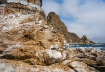 Сахалин весной: как поймать туман и свет для сильных фотографий