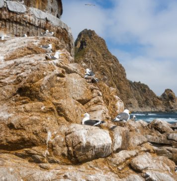 Сахалин весной: как поймать туман и свет для сильных фотографий