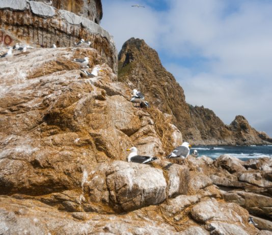 Сахалин весной: как поймать туман и свет для сильных фотографий