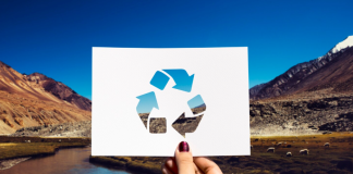 Переработка вторсырья в России: рост и перспективы