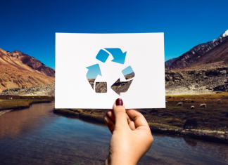 Переработка вторсырья в России: рост и перспективы