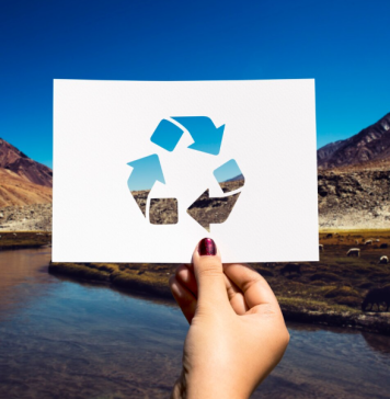 Переработка вторсырья в России: рост и перспективы