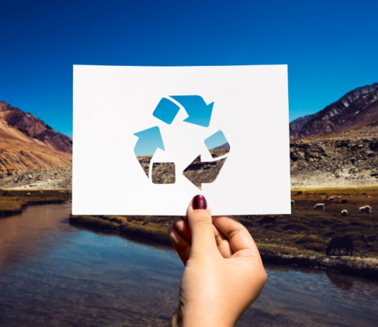 Переработка вторсырья в России: рост и перспективы